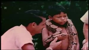Episodio 5