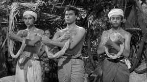 The Stranglers of Bombay — foto 3