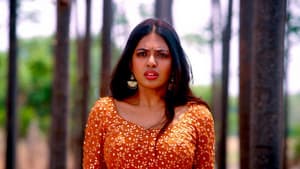 అహ నా పెళ్ళంట — foto 5