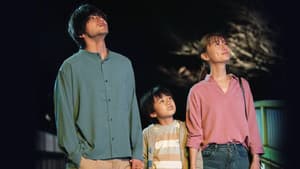 夜、鳥たちが啼く — foto 3