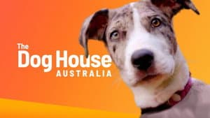 The Dog House Australia — foto 2
