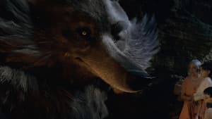 Ma famille et le loup — foto 11