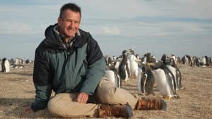 Penguin Adventure with Nigel Marven — foto 1