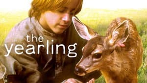 The Yearling — foto 4