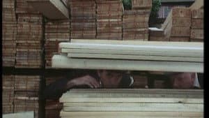 The Plank — foto 1