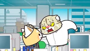 Episodio 9