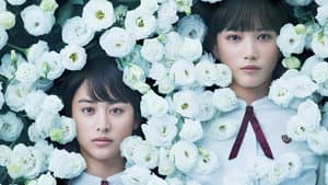 少女 — foto 1