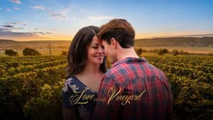 Love in the Vineyard — foto 1