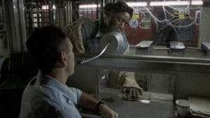 Episodio 9