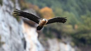 Les Pyrénées secrètes — foto 4