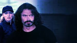 Lawless — foto 1