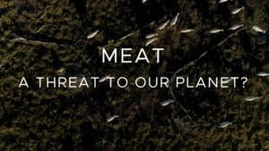 Meat: A Threat to Our Planet — foto 1