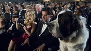 Beethoven 6: La gran oportunidad — foto 1