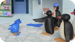 ¡Sigue al pingüino azul!
