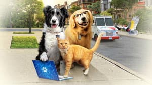 Como perros y gatos 3: Patitas unidas — foto 2