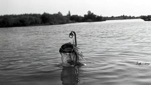 Mąż swojej żony — foto 8