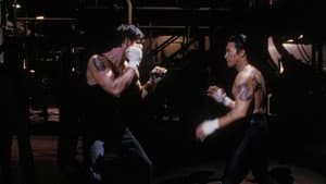 Night of the Warrior — foto 3