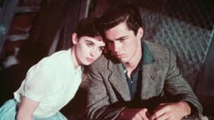 El diario de Ana Frank — foto 1