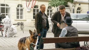 Rex - Vienna Calling — foto 3