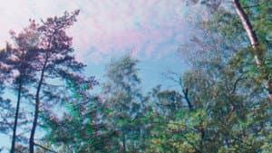 Rojo Žalia Blau — foto 1