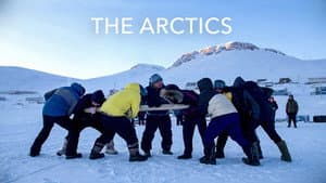 The Arctics — foto 2