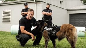 En busca de venganza — foto 8