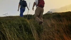 Salvajes, El Cuento Del Lobo — foto 9