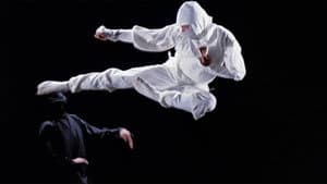 La justicia del Ninja — foto 1
