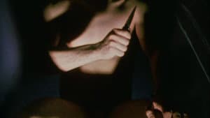 Invocation of My Demon Brother — foto 4