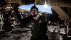 Yukon Gold — foto 12