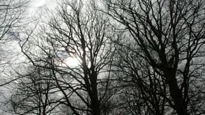 Tales from the Darkside — foto 5
