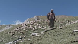 Sona Dhwandi Bhed Te Suchha Pahad — foto 1