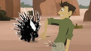 Episodio 40