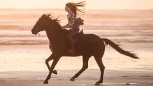 Black Beauty — foto 8