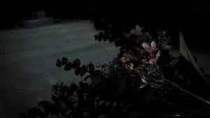 La Flor — foto 1