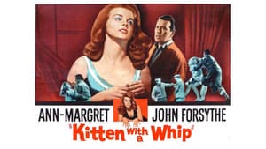 Kitten with a Whip — foto 9