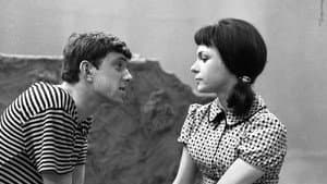 Věra Lukášová — foto 1