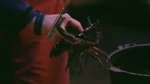 Episodio 12
