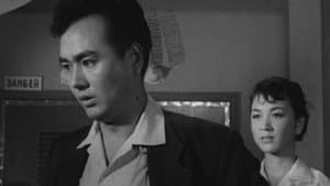 透明人間と蝿男 — foto 6