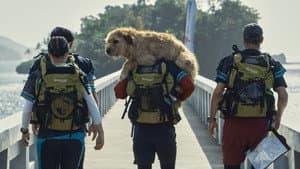 Arthur: Una Amistad sin Limites — foto 10