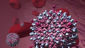 Why Do Viruses Kill? — foto 1