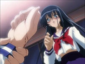 Episodio 13