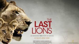 The Last Lions — foto 3