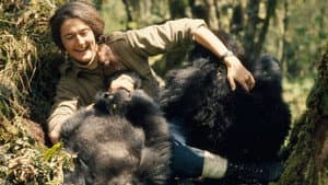 Dian Fossey: Secrets in the Mist — foto 4