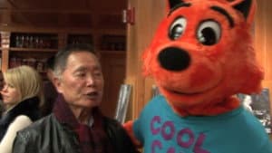 Cool Cat's Crazy Dream — foto 1