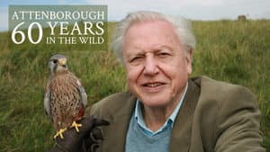 Attenborough: 60 Years in the Wild — foto 8
