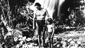 El hijo de Tarzán — foto 4