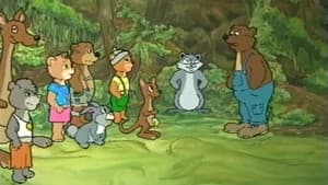 Teddy, der kleine Bär — foto 2
