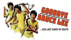 新死亡遊戲 / Game of Death — foto 1