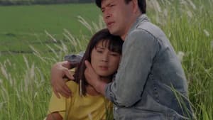 바람불면 일어서는 숲 — foto 1